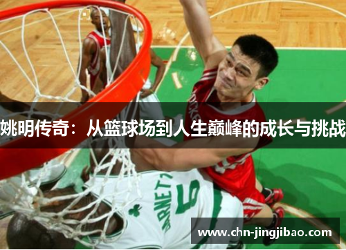 姚明传奇：从篮球场到人生巅峰的成长与挑战