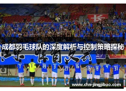成都羽毛球队的深度解析与控制策略探秘