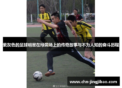 紫灰色的足球明星在绿茵场上的传奇故事与不为人知的奋斗历程